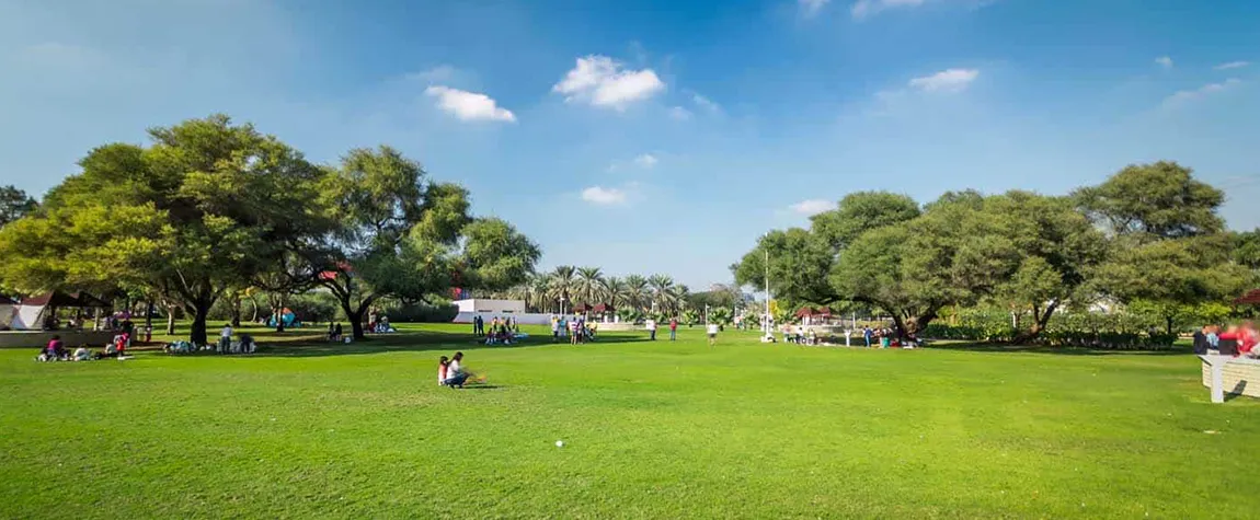 Outdoor Picnic Spots in Dubai