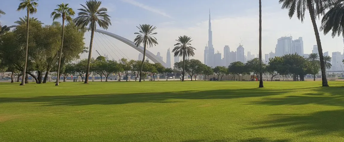 Outdoor Picnic Spots in Dubai
