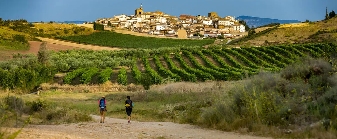 Go on the Camino de Santiago, Spain
