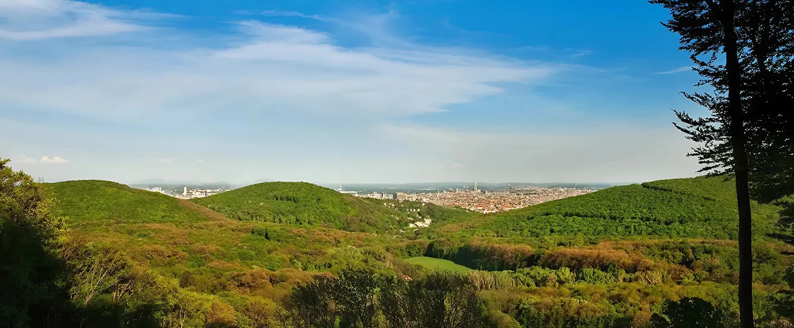 Have a Day at the Vienna Woods