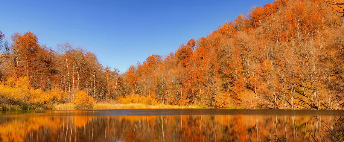 October – Golden Autumn Landscapes