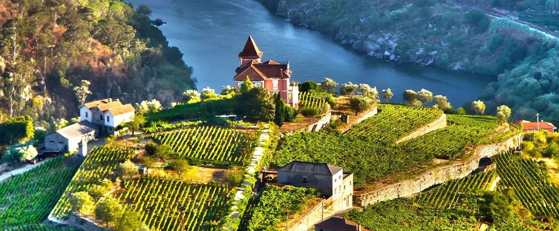 Visit the Stunning Douro Valley