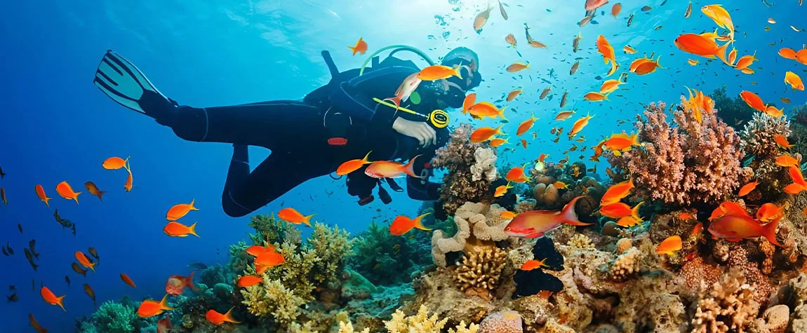 Enjoy a Thrilling Sea Walk