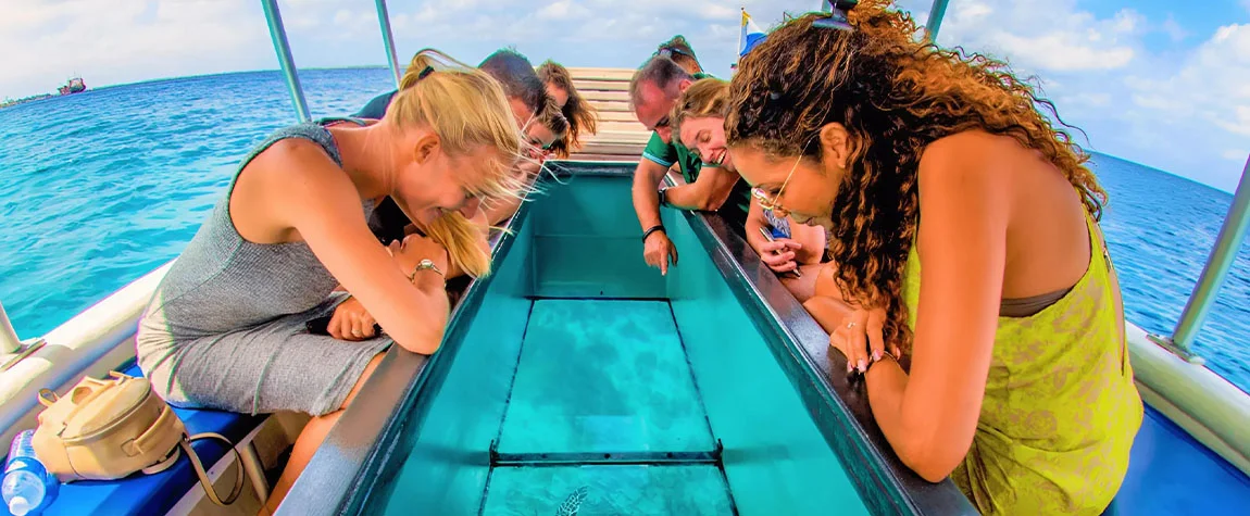 Take a Glass Bottom Boat Ride