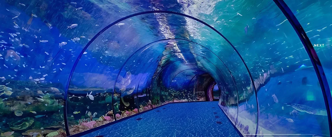 Aquariums in the UAE
