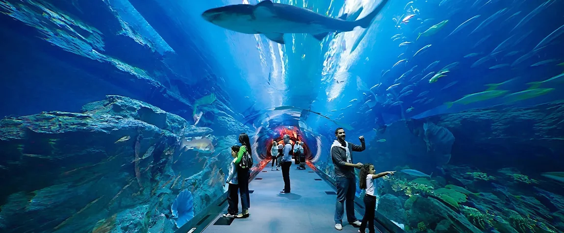 Aquariums in the UAE