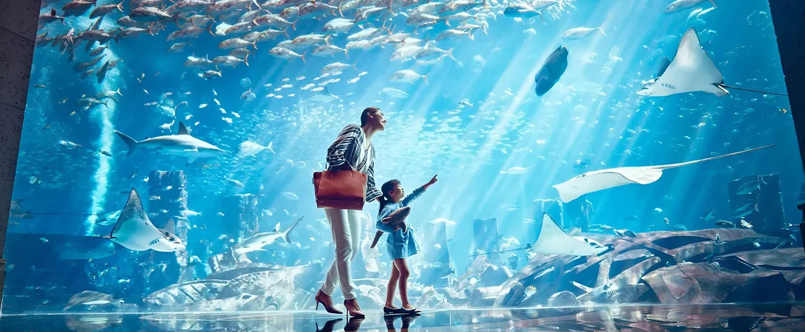 Lost Chambers Aquarium, Atlantis The Palm