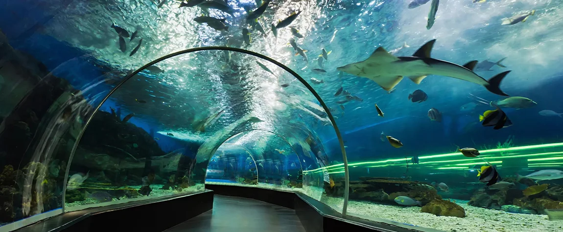 Sharjah Aquarium