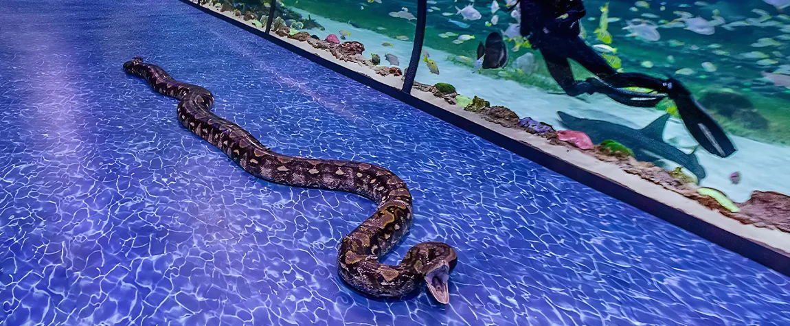 Al Qana Aquarium, Abu Dhabi