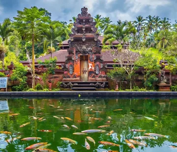 Best Times to Visit Bali