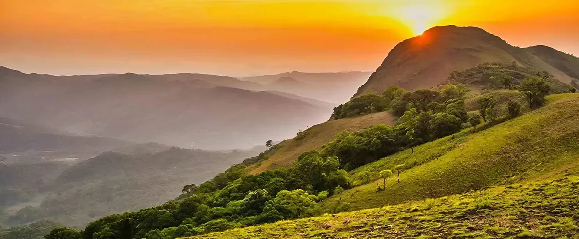 Summer (March to May) – Visit Hill Stations and Coffee Plantations