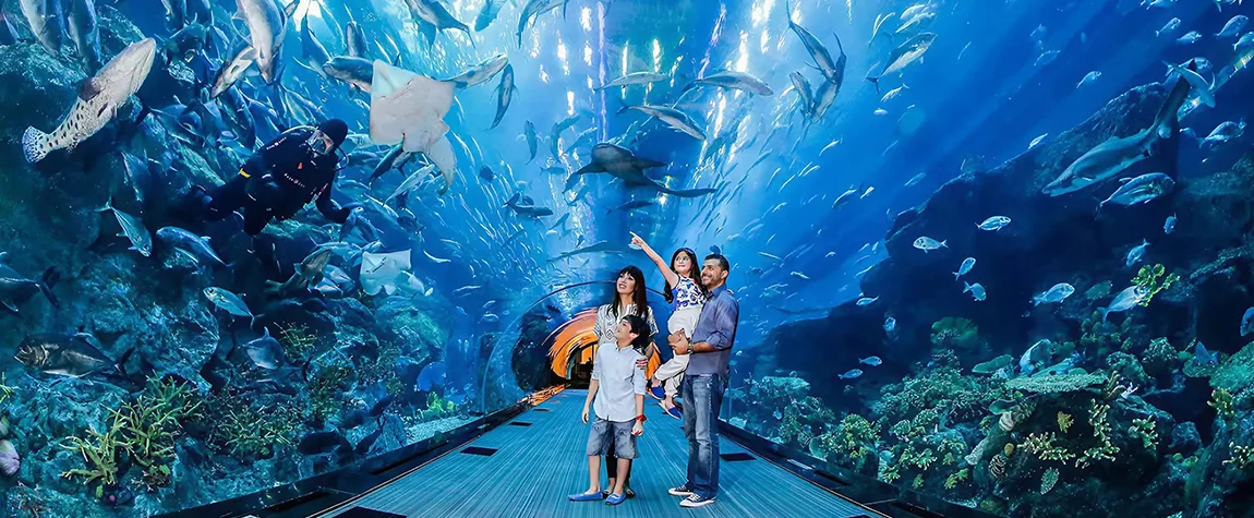 Aquariums in the UAE