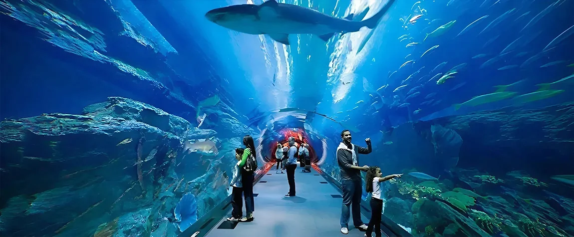 Dubai’s Best Spots for Kids