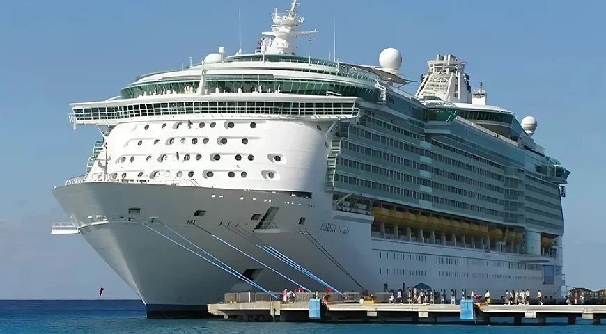 06 Nights 07 Days Singapore with Ovation Of The Seas Cruise