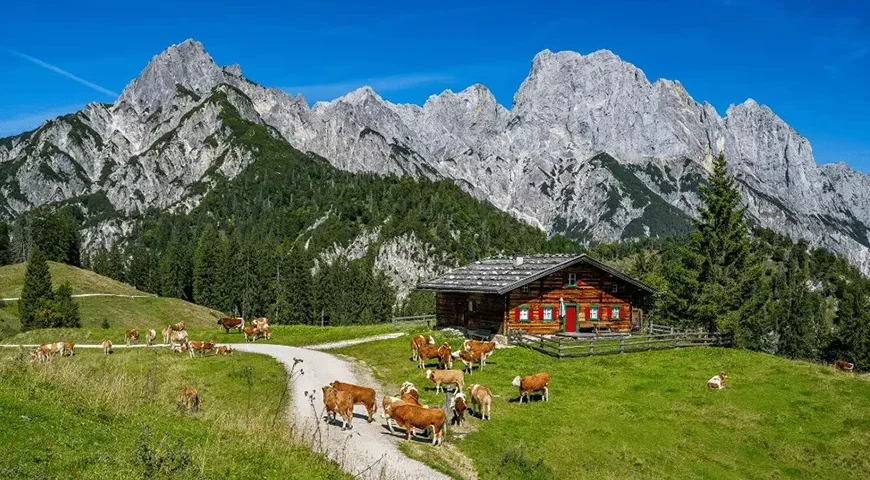 Austria Winter Tour Package