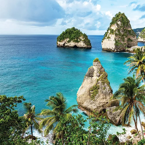 Bali UAE National Day Tour Packages