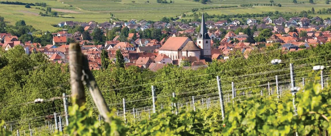 Wine Routes and Traditional Villages