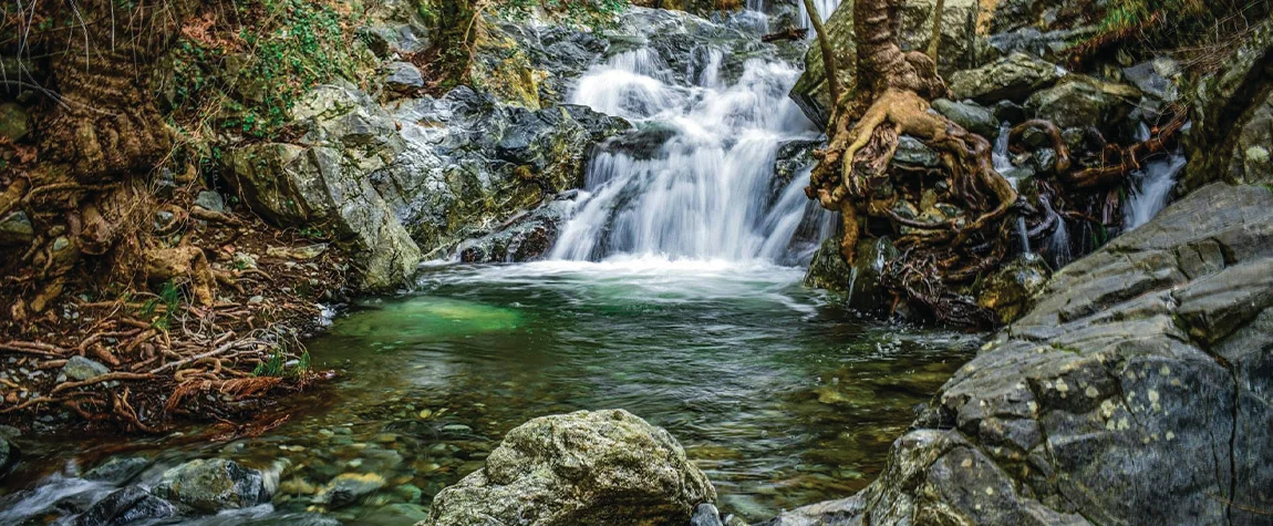 Waterfalls and Nature Trails