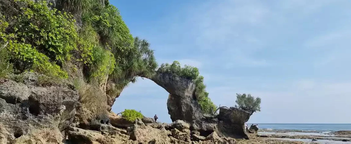 Neil Island Exploration – Coral Views & Natural Bridges