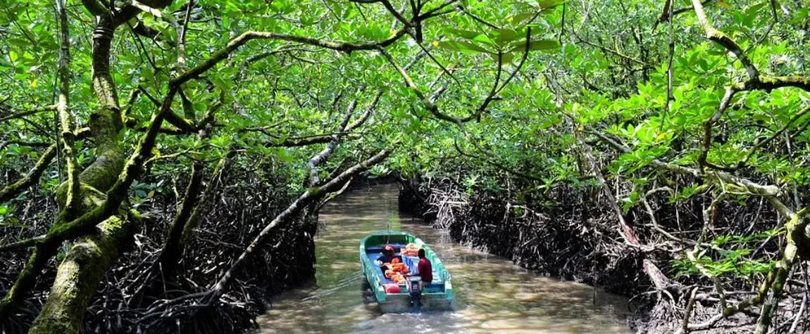 Baratang Island -Limestone Caves and More