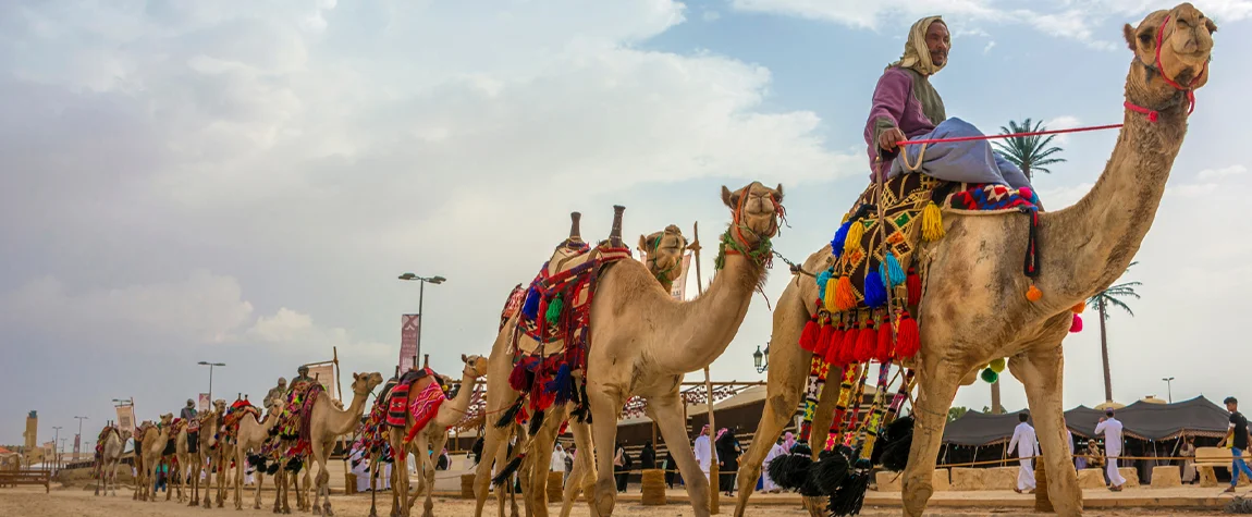 Bikaner – The Camel City