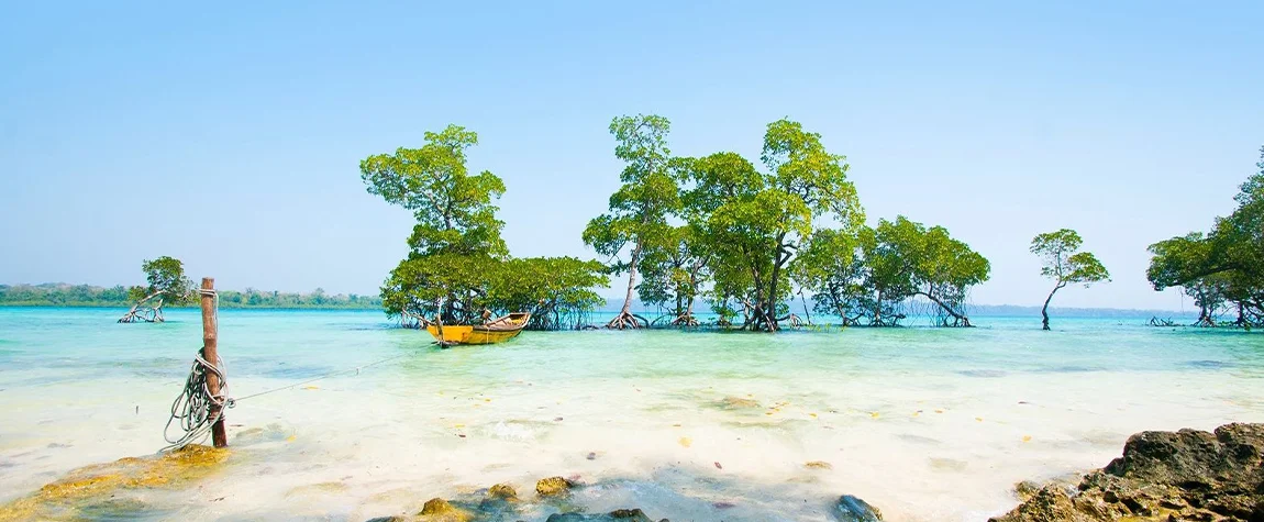 Must-Visit Islands in Andaman