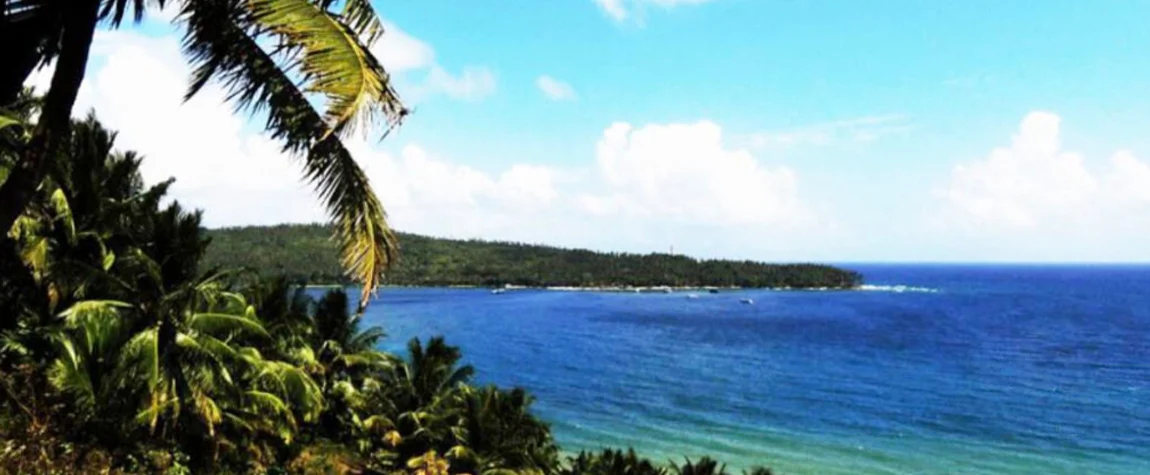 North Bay Island A Coral Wonderland