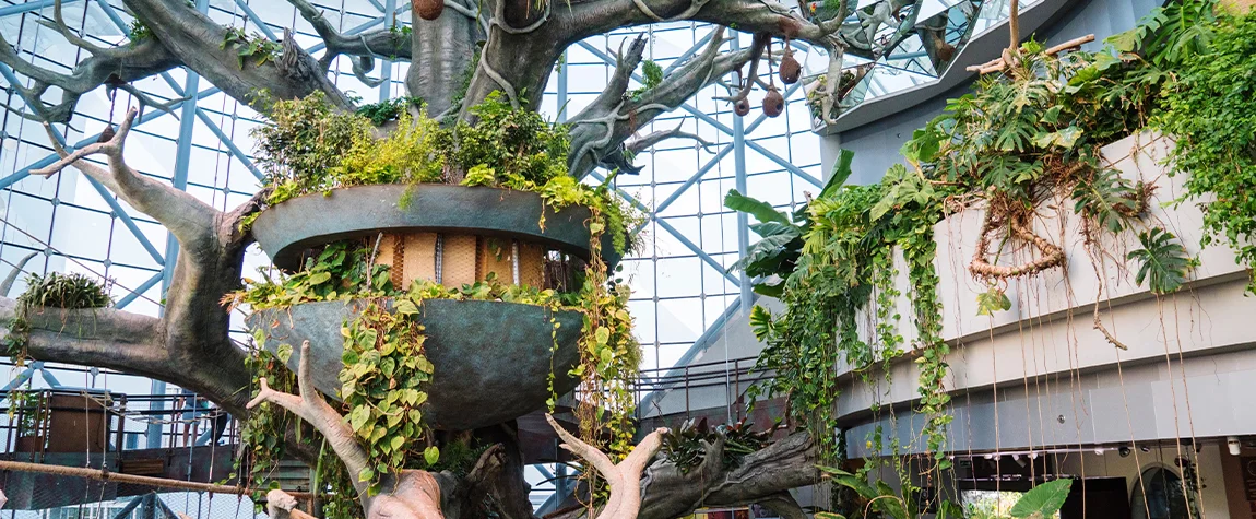 The Green Planet - a Hidden Tropical Paradise in Dubai