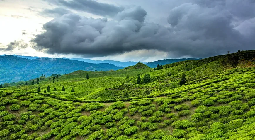 Assam Winter Tour Package