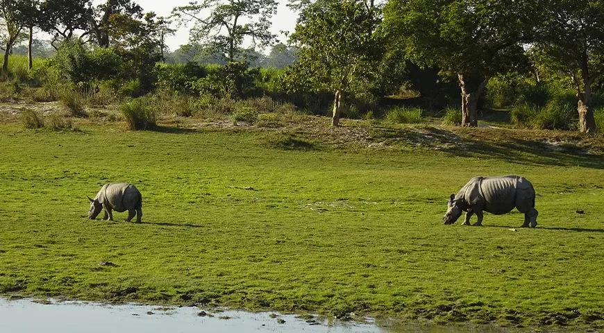 Assam Winter Tour Package