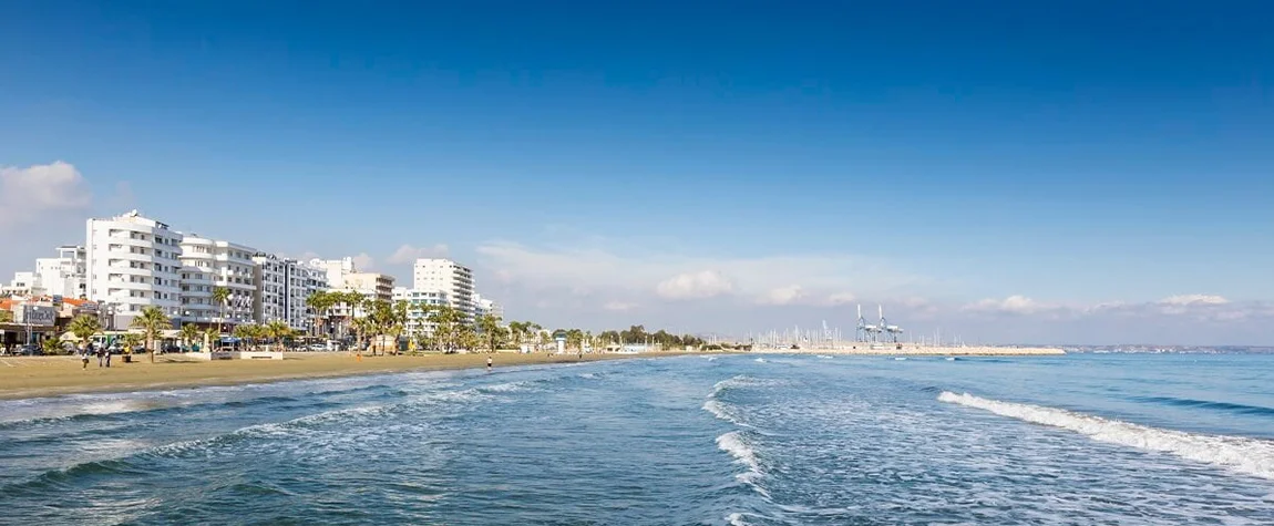 Fall (September through November)