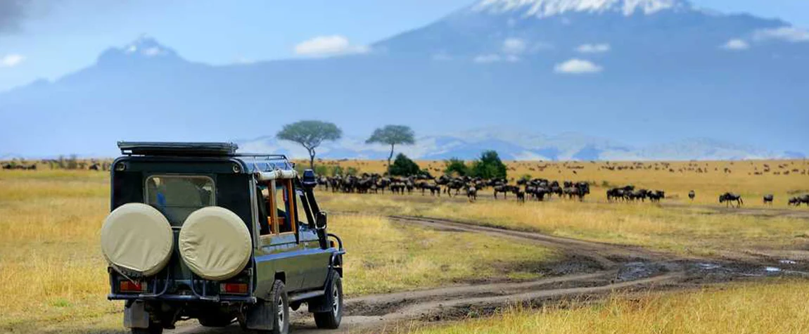Kenya Travel Tips