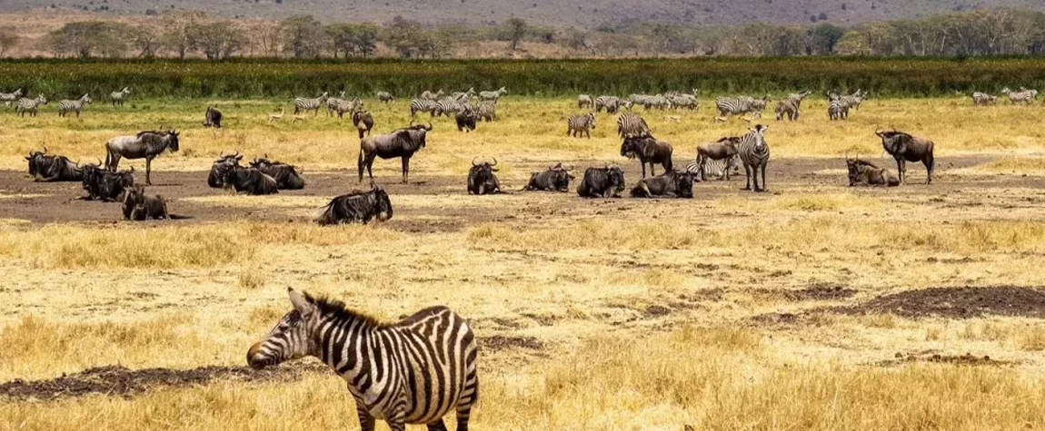 What to Pack for Kenya