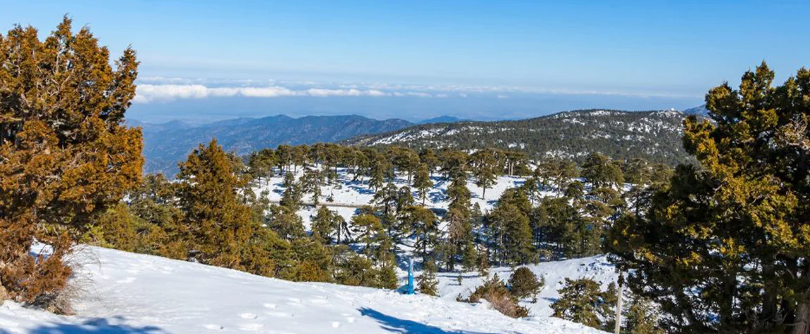 Winter (December to February)