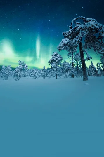 Yukon Northern Lights Winter Packages