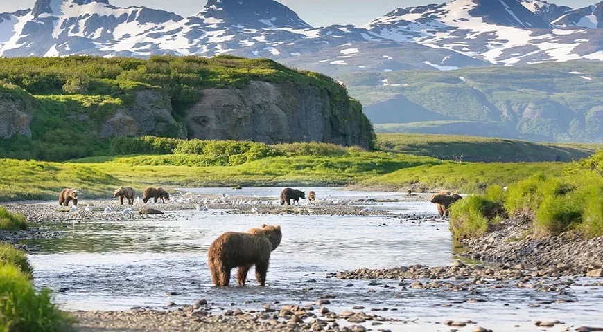 Alaska Tour Package