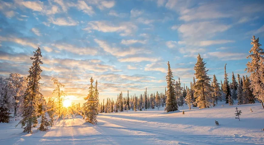 Enchanting Lapland Tour Package