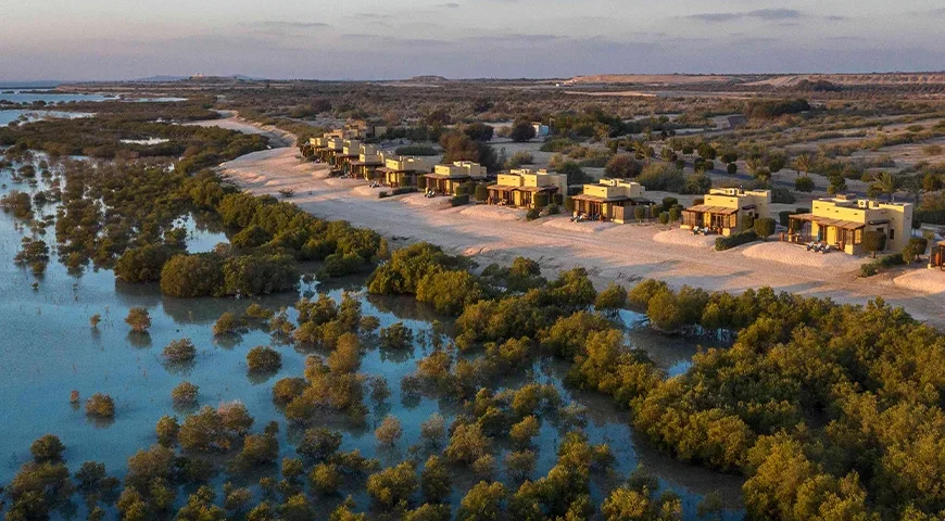 Sir Bani Yas One Day Tour Package