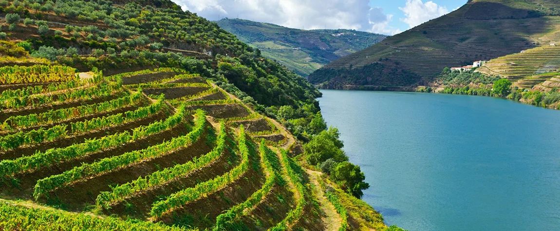Douro Valley
