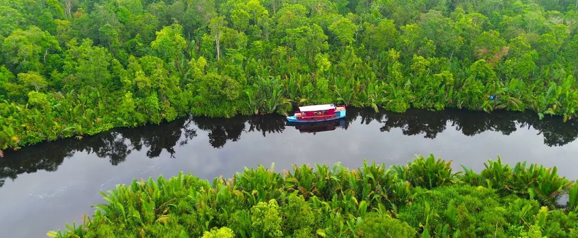 Jungle, River, and Rainforest Adventures