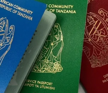 Tanzania eVisa Application from Dubai